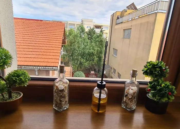 Anamaria Mamaia Nord * Navodari